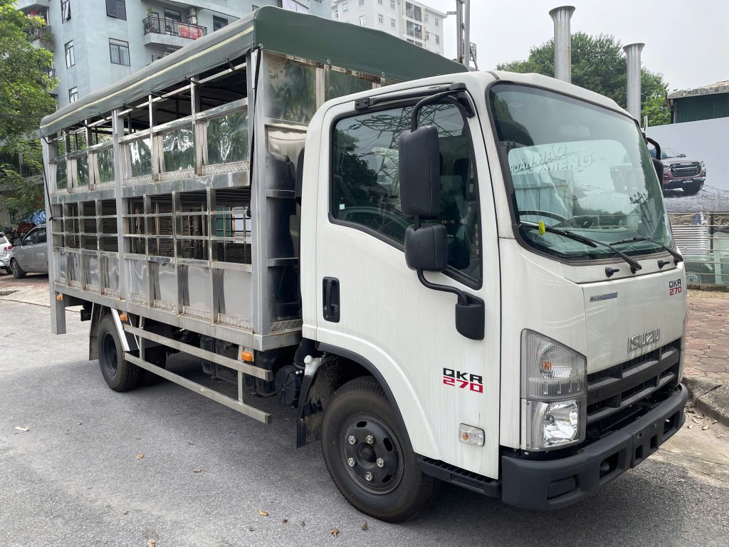 QKR270 chở gia súc